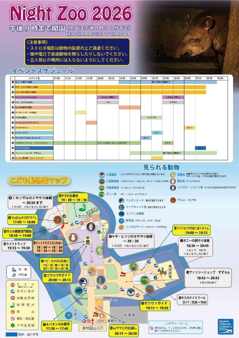 スケジュール