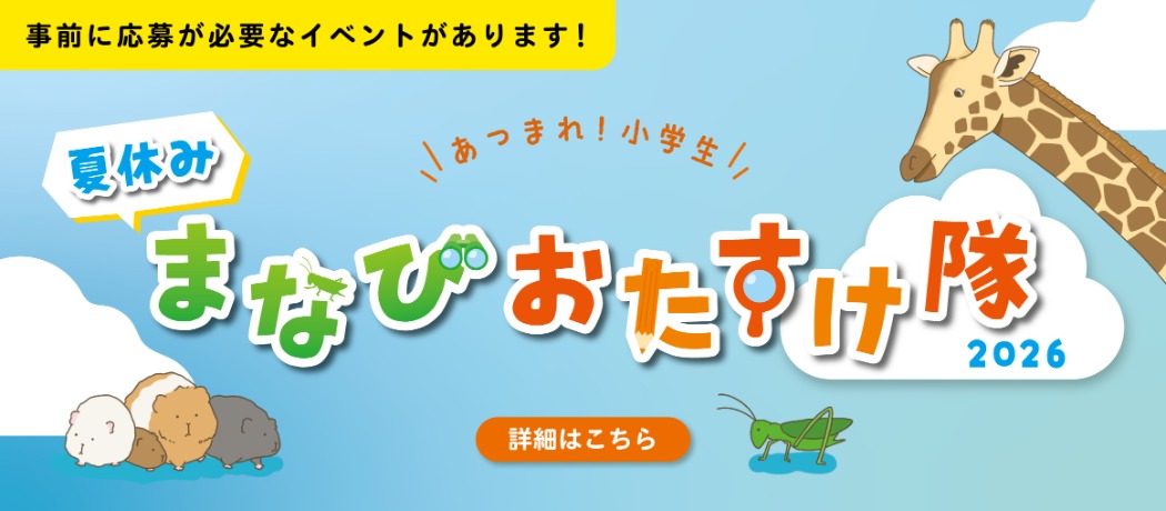 夏休み まなびおたすけ隊