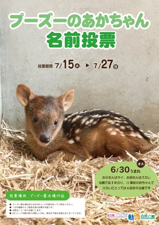 ポスター