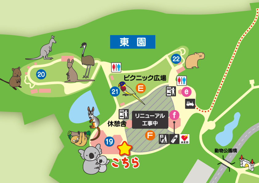 コアラ舎入り口