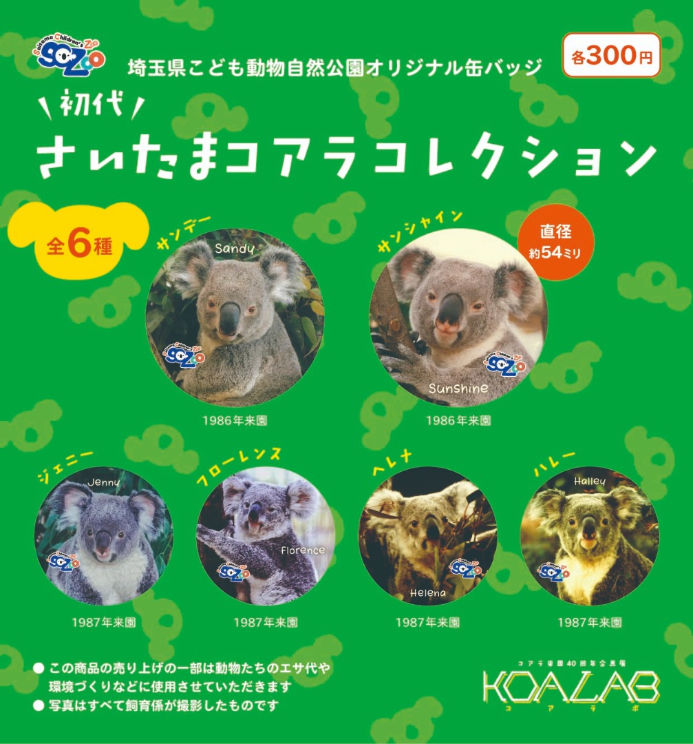 ガチャ