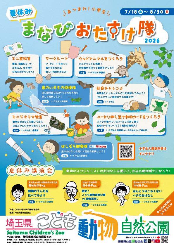 チラシ表