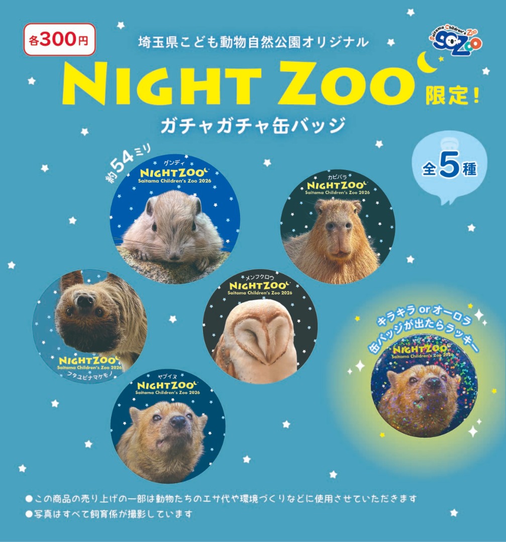 ガチャ