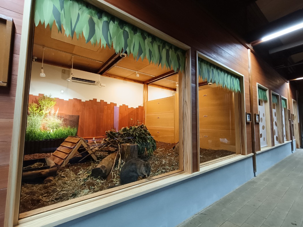 クオッカ屋内展示室の様子