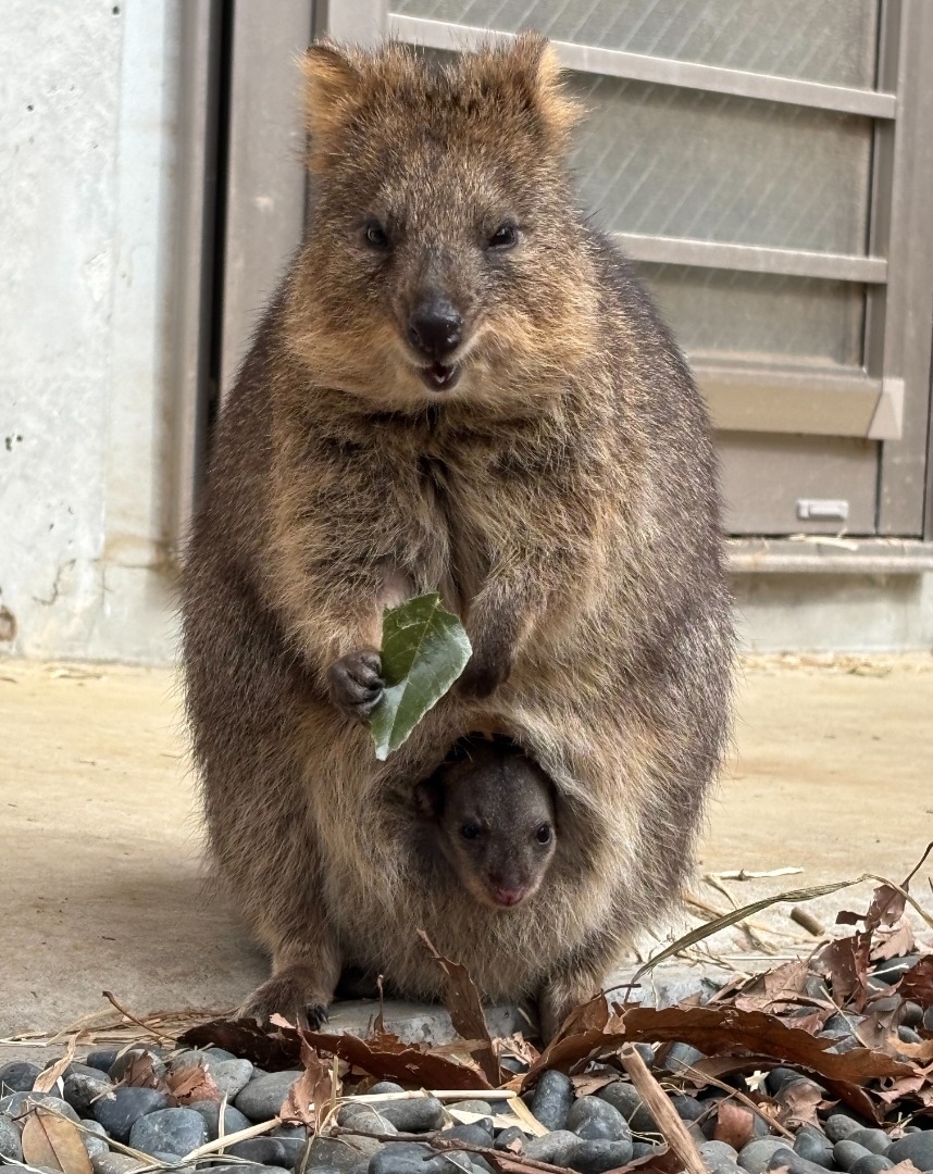 ミノザとこども