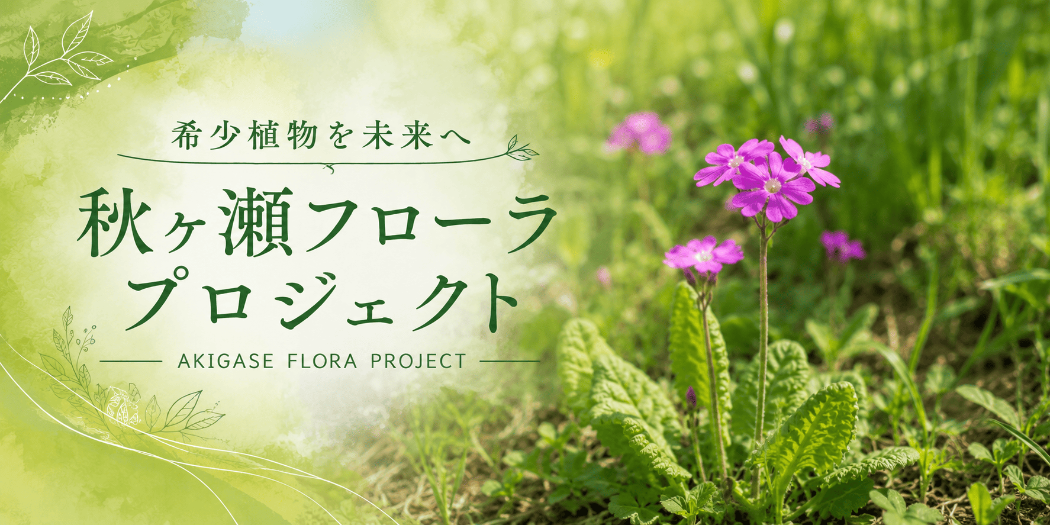 フローラ