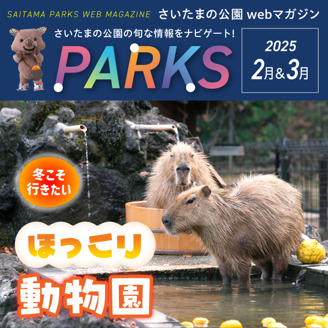 parks12・1月号