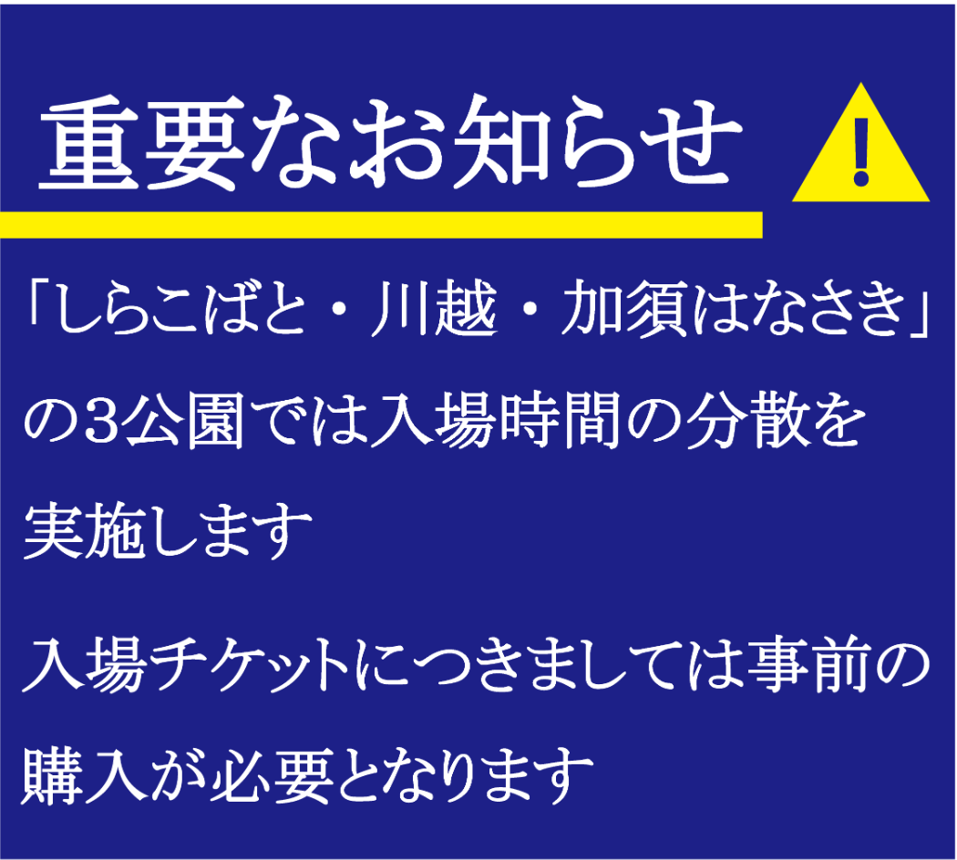 キャプション(編集は画像ボタンから)