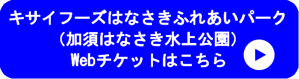 キャプション(編集は画像ボタンから)