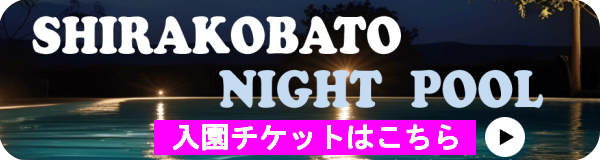 キャプション(編集は画像ボタンから) ナイトプールチケット