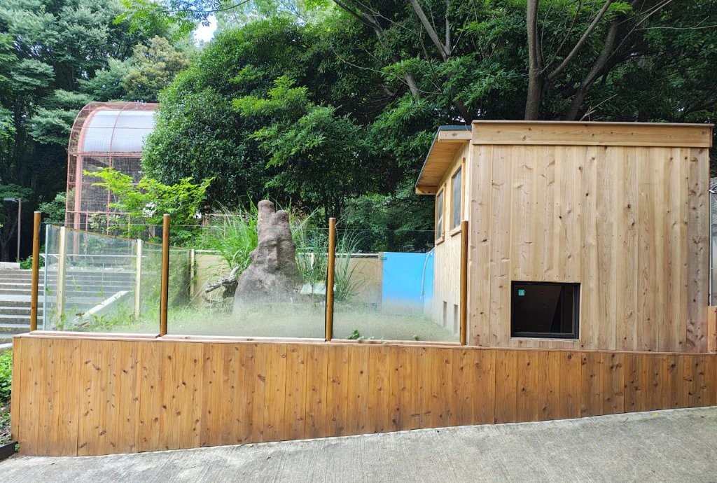 ミーアキャット