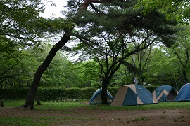 野外活動広場 場内案内 智光山公園 公益財団法人埼玉県公園緑地協会