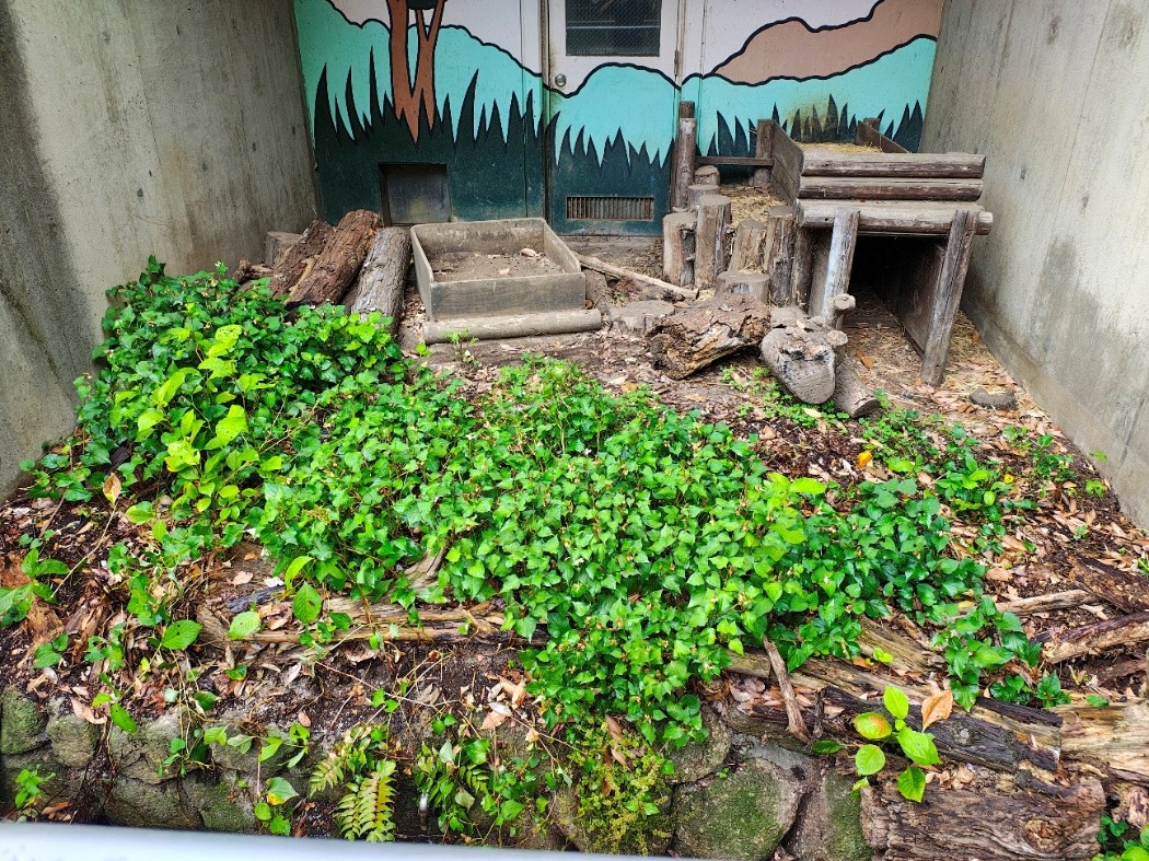旧タヌキ展示場