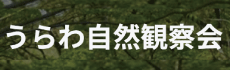 うらわ自然観察会