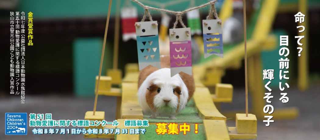 動物愛護に関する標語