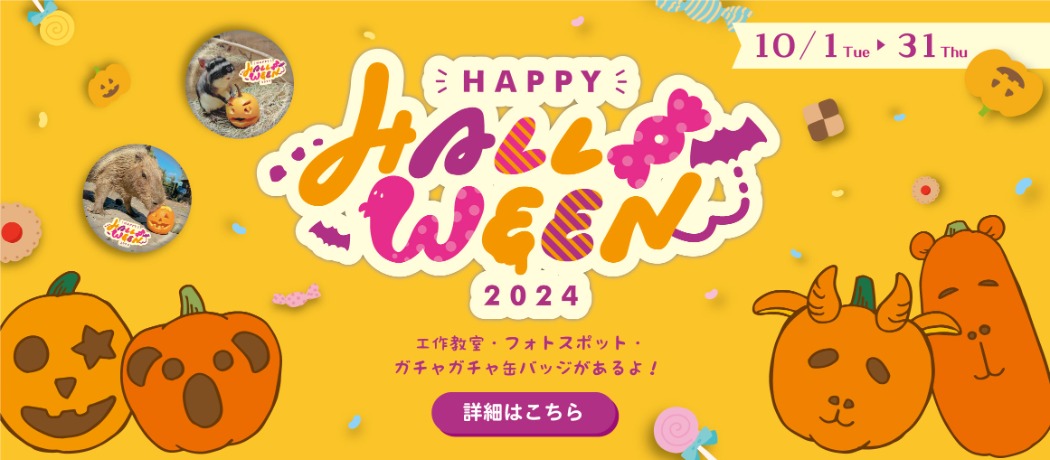 ハロウィンイベントについて