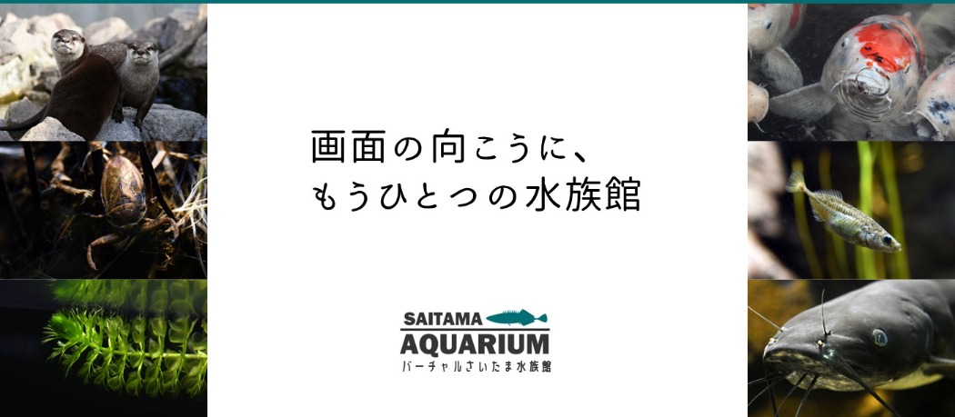 VR水族館（さいたま水族館）