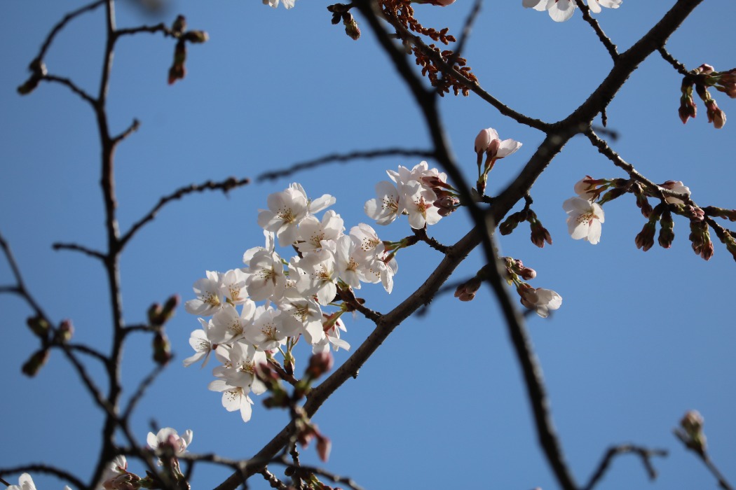 3月16日①