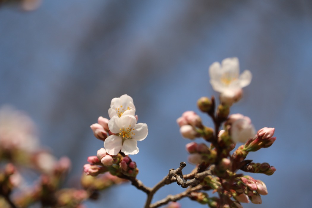 3月16日②