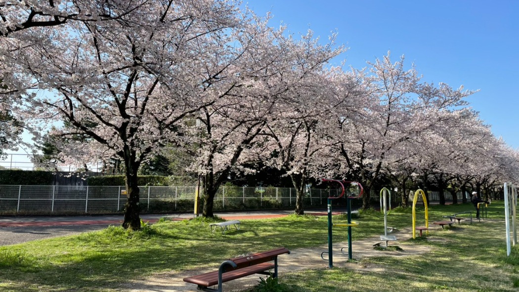 3月29日