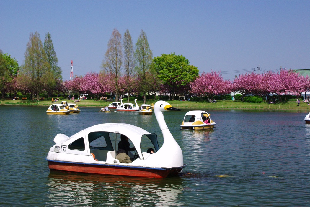 ボート乗り場 川越公園 川越水上公園 公益財団法人埼玉県公園緑地協会