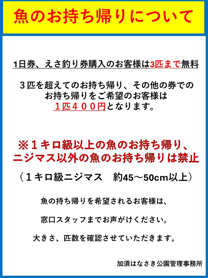魚の持ち帰りについて