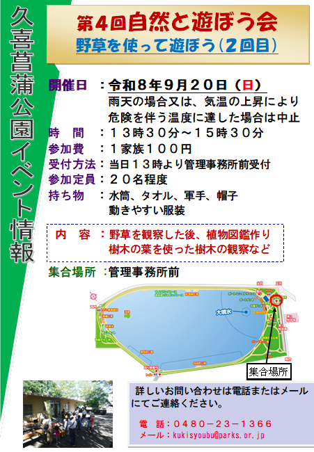 チラシ