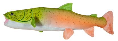 魚の画像
