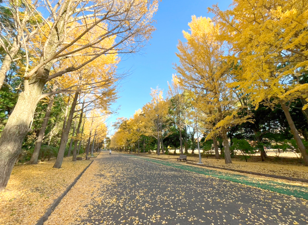 カニ走りサイクル