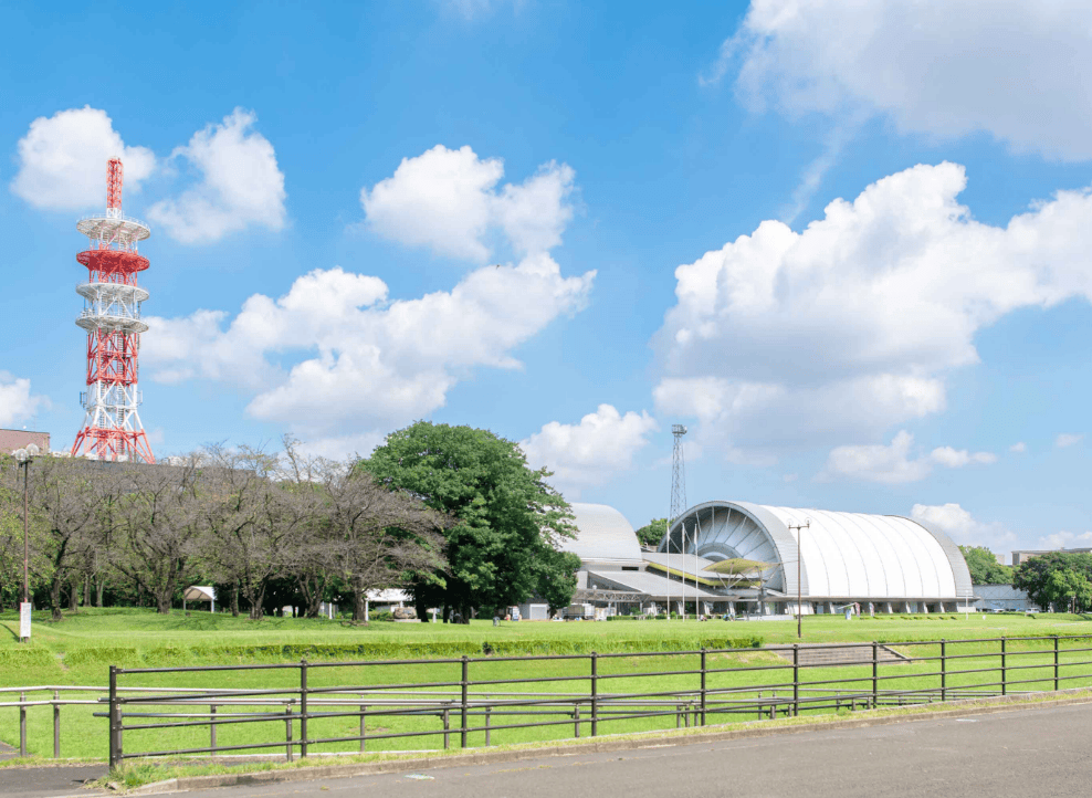 戸田公園の漕艇