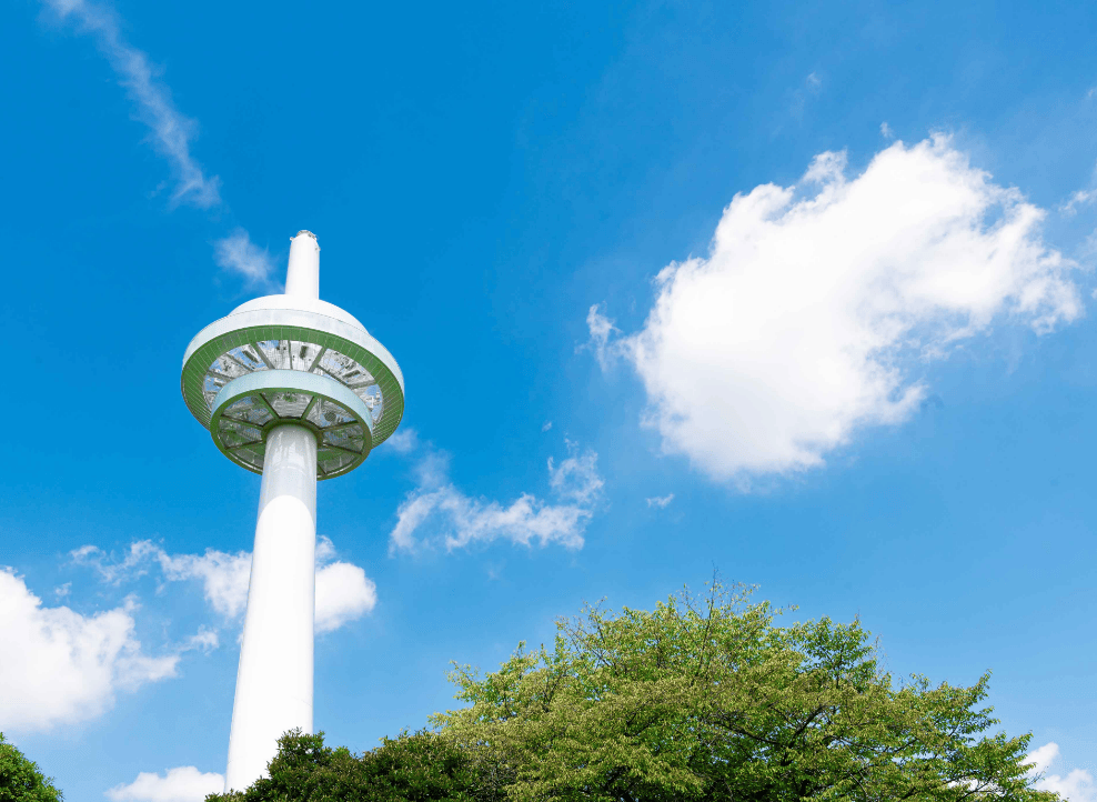 戸田公園の漕艇