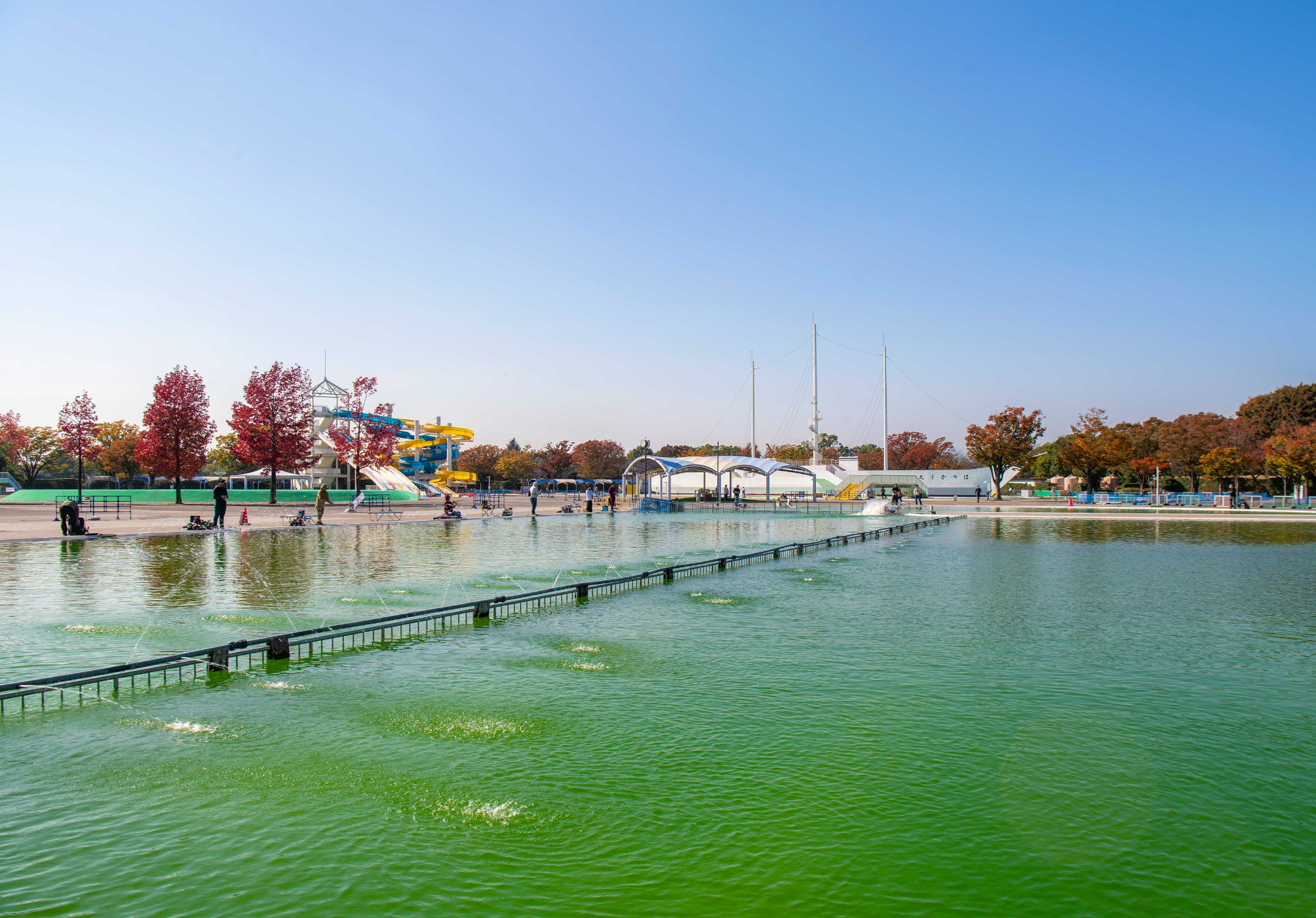 川越公園でプールフィッシング