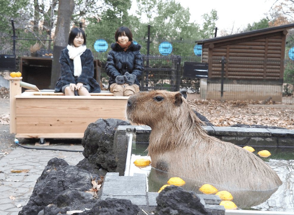 川越公園でプールフィッシング