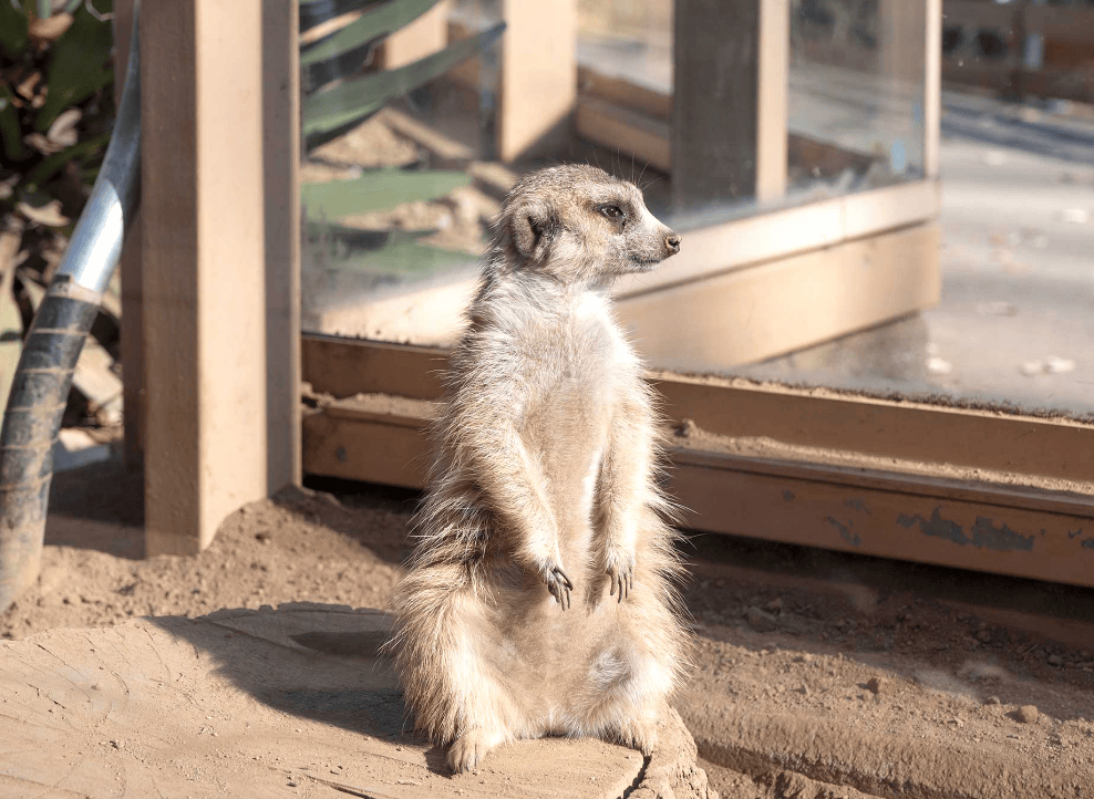 川越公園でプールフィッシング