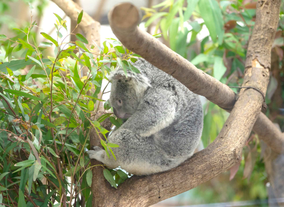 川越公園でプールフィッシング