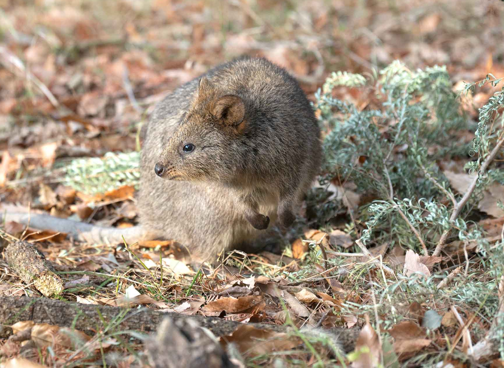 川越公園でプールフィッシング