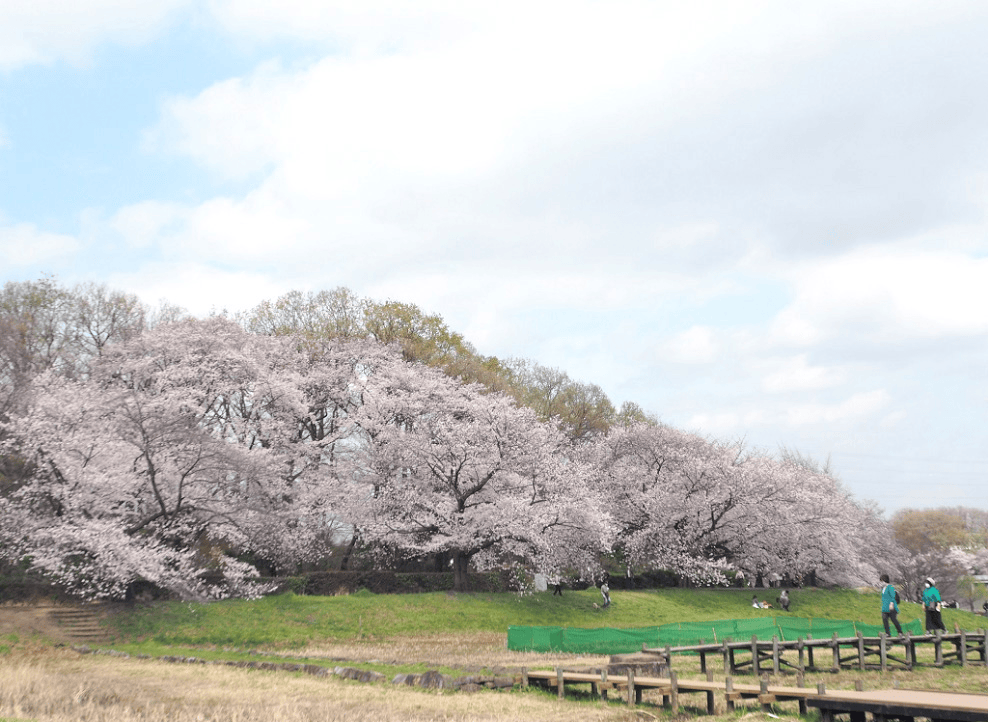 大宮第二公園