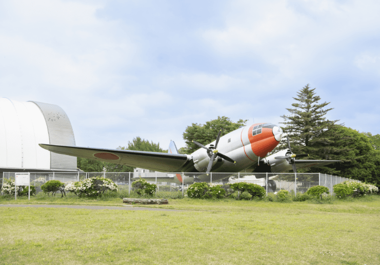初夏の所沢航空記念公園