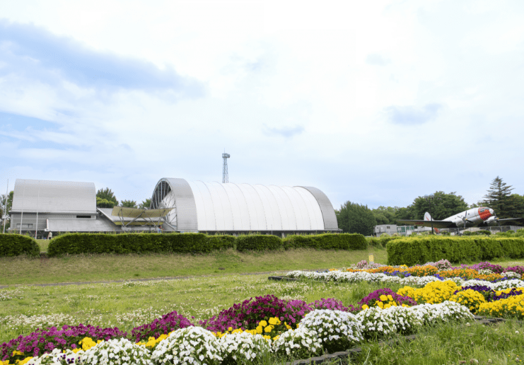 初夏の所沢航空記念公園
