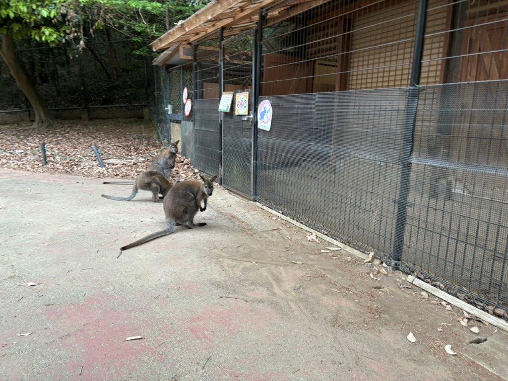 扉の前で待つ