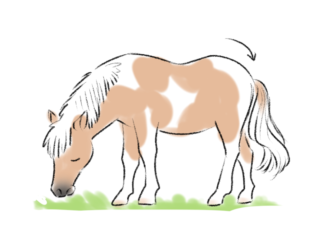 ウマのイラスト