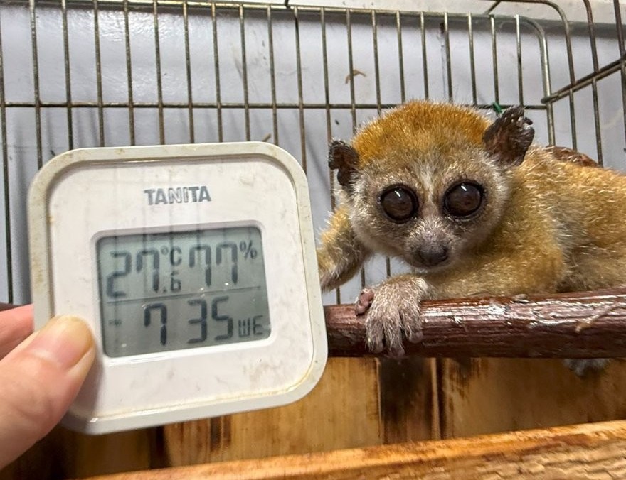 7月2日の温度・湿度