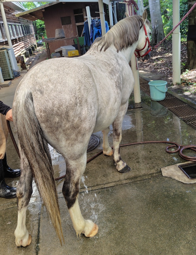 練習後は水でクールダウン