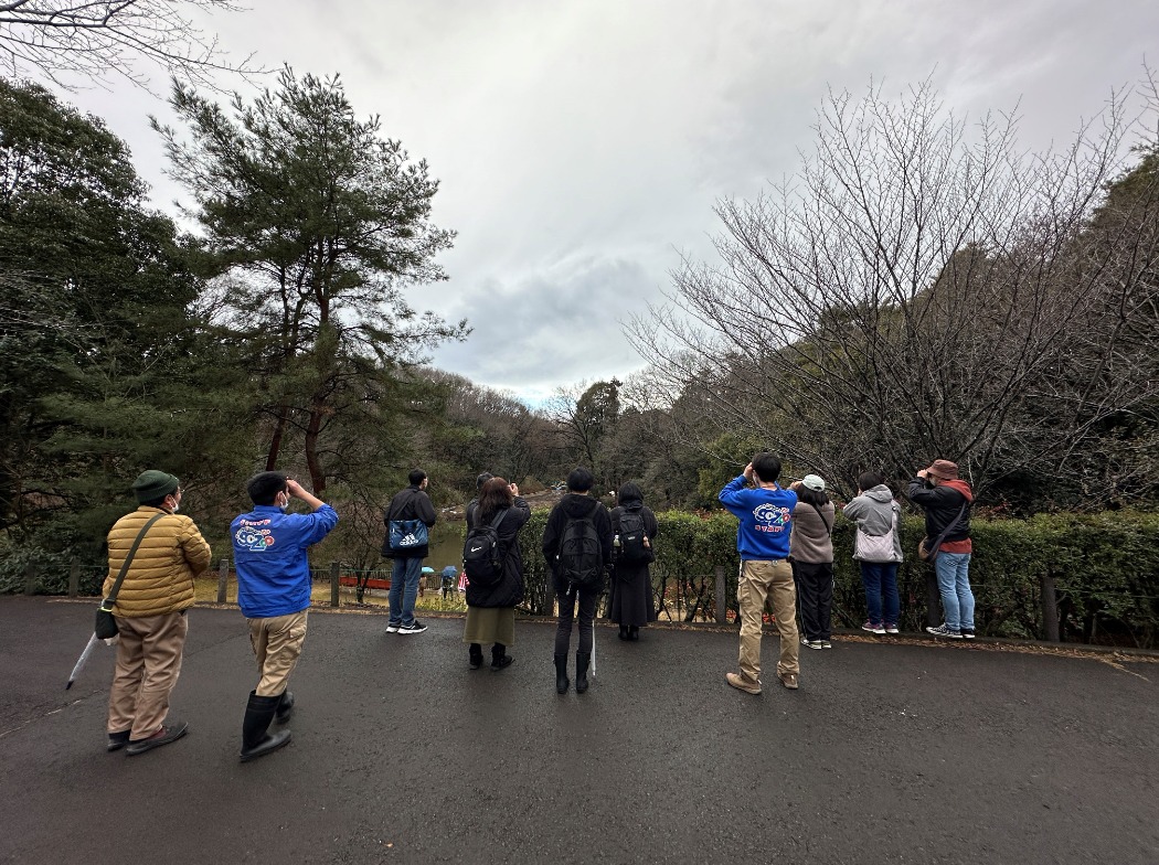 ネイチャー　野鳥