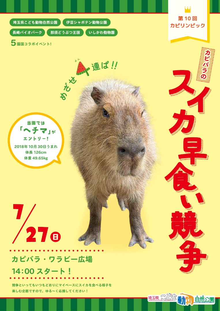 ポスター