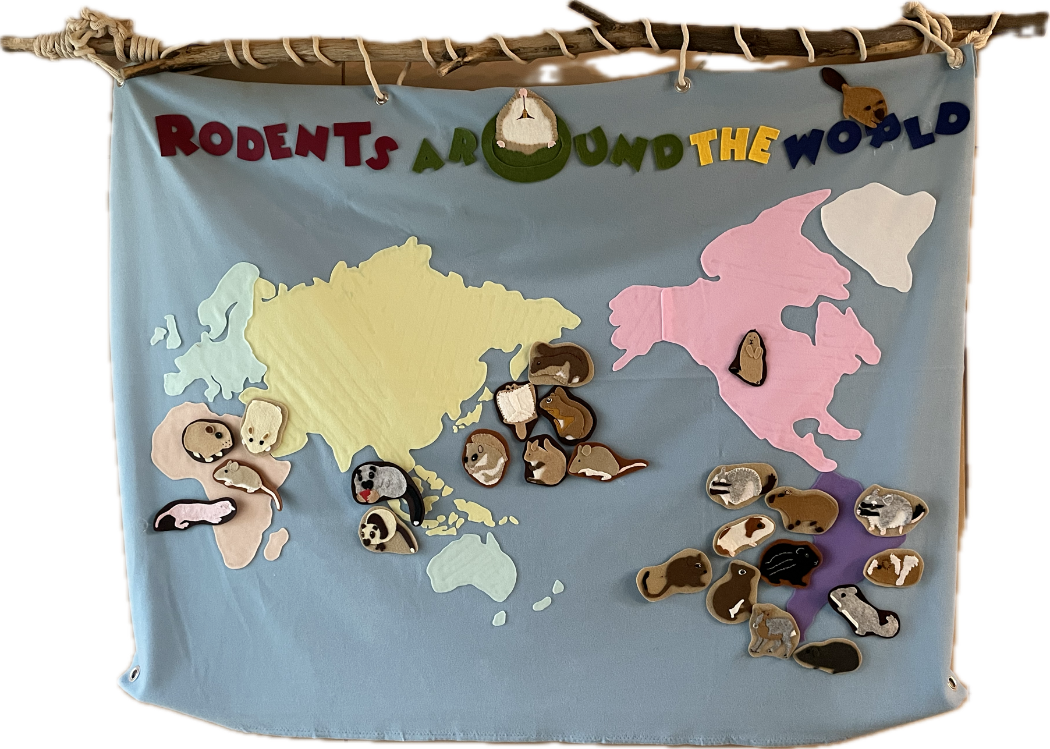 世界ねずっ地図写真