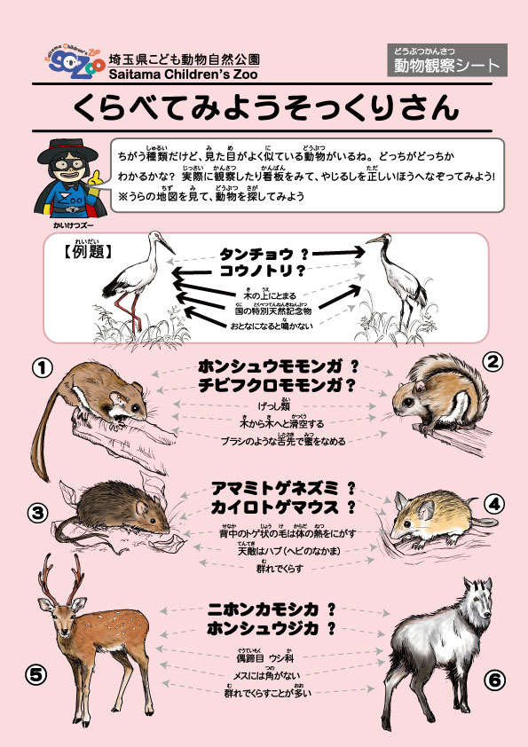 問題