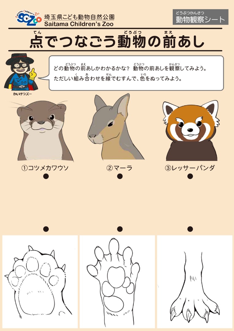点でつなごう動物の前あし