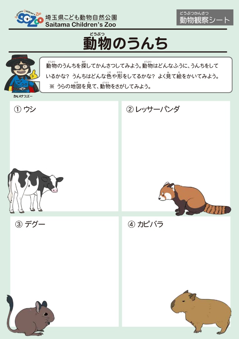 動物のうんち