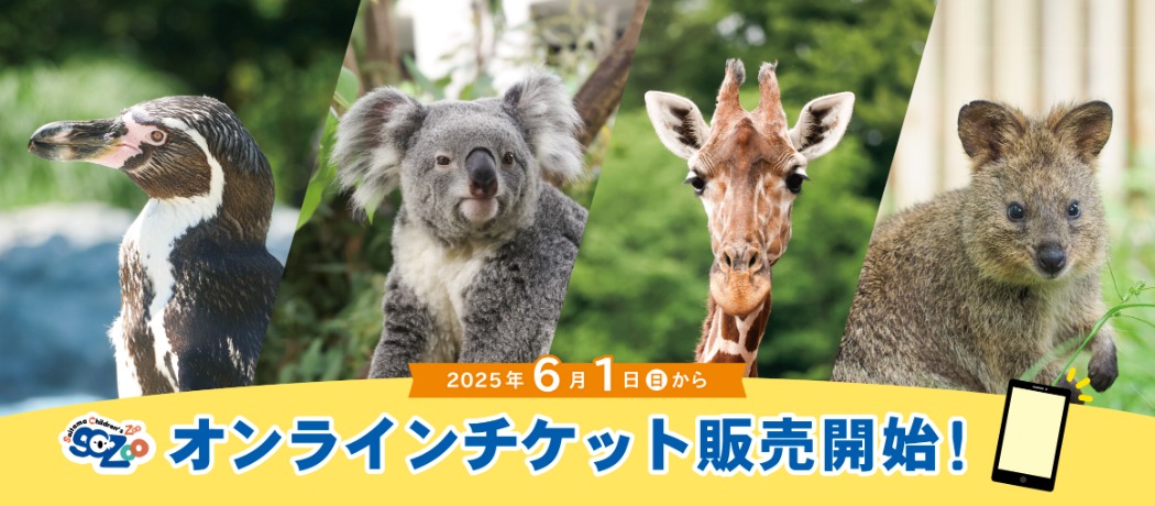 購入ページは画像をクリック!